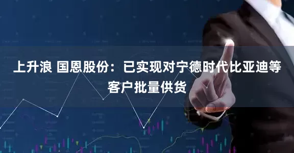 上升浪 国恩股份：已实现对宁德时代比亚迪等客户批量供货