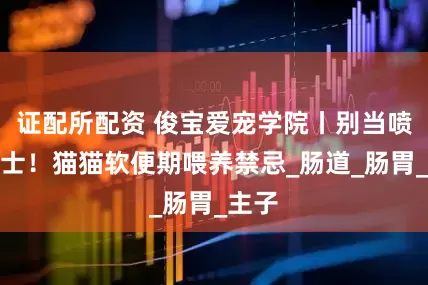 证配所配资 俊宝爱宠学院丨别当喷射战士！猫猫软便期喂养禁忌_肠道_肠胃_主子