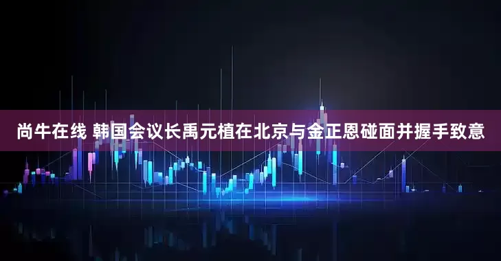 尚牛在线 韩国会议长禹元植在北京与金正恩碰面并握手致意