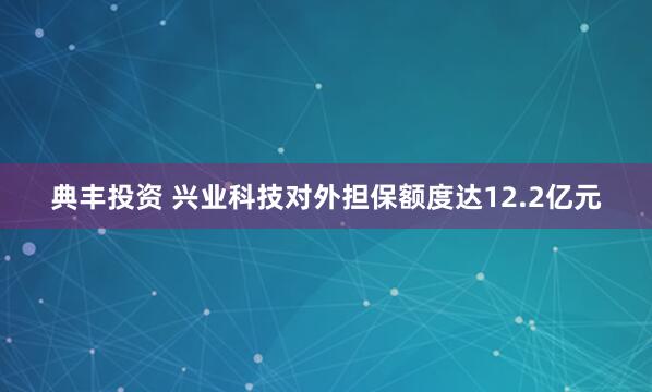典丰投资 兴业科技对外担保额度达12.2亿元