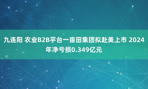九连阳 农业B2B平台一亩田集团拟赴美上市 2024年净亏损0.349亿元